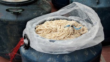  Bắt gần 1 tấn lòng lợn thối làm vỏ lạp sườn