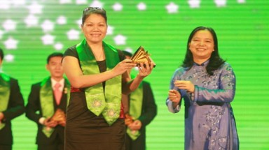 VNG được vinh danh tại Sao Vàng Đất Việt 2011