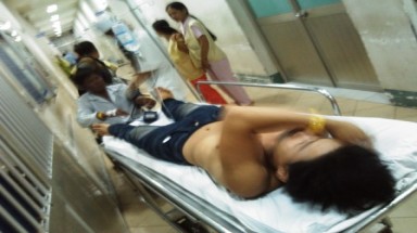 Rắn quấn cổ, cắn người ở TP.HCM là rắn lục