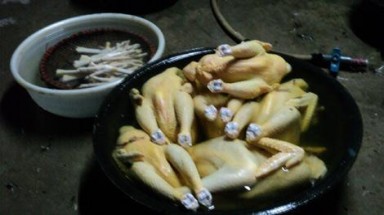 Gà nhuộm bột sắt, trông chờ vào… lương tâm