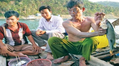 Tiệc cá trên biển đảo Tây Nam bộ