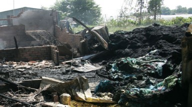  TPHCM: “Bà hỏa” thăm trại, hàng chục con heo gặp họa