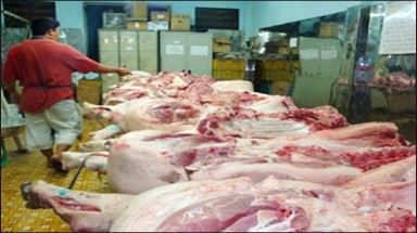  TPHCM: Kiểm soát chặt nguồn lợn thịt vào thành phố 