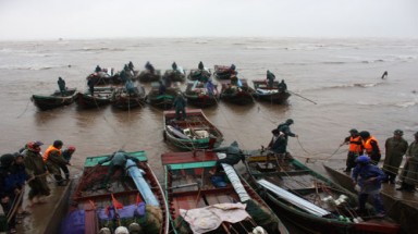  Tin bão khẩn cấp (Cơn bão số 8): Bão cách bờ biển các tỉnh Hải Phòng - Ninh Bình khoảng 100 km 
