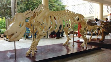 Bảo tàng không có... bảo tàng