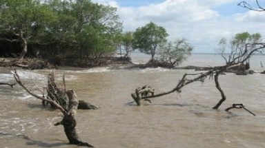  Biến đổi khí hậu kìm hãm tăng trưởng kinh tế 