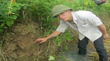 Cánh đồng xương rùng rợn ở Thanh Hóa