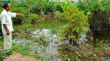 Cà Mau: Dùng vịt nhử vẫn chưa bắt được cá sấu