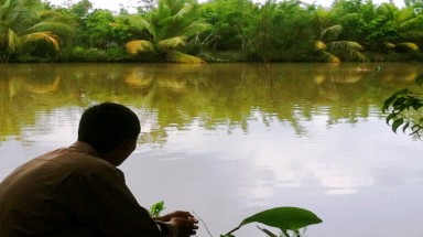 Cà Mau:  Khó bắt 4 con cá sấu sổng chuồng cuối cùng