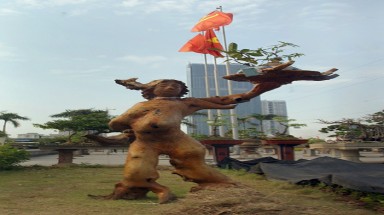 Cây cảnh ”khỏa thân” ở Hà Nội