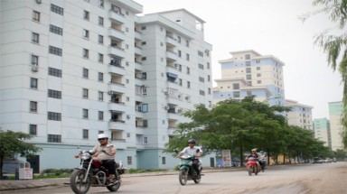 'Ruộng' rau giữa ... Hà Nội