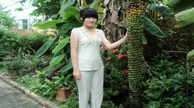  Chuối nghìn trái lại mọc ở Cần Thơ