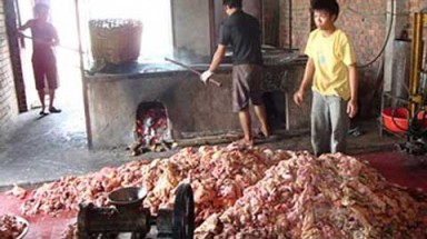 Kinh hoàng chế dầu thải thành... dầu ăn