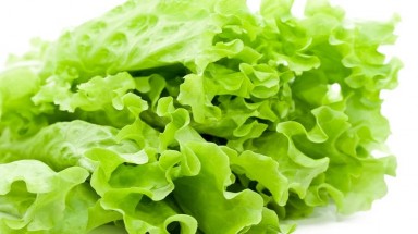 Những tác dụng của rau diếp xoăn