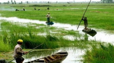 Việt Nam đang hướng đến một nền kinh tế thấp Cacbon