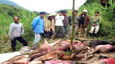  Tiêu thụ động vật hoang dã không khiến bạn thành công hơn !