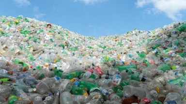 Giảm thiểu nhựa bắt đầu từ cộng đồng trường học