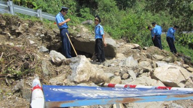 Quảng Ngãi: Xới tung quốc lộ để tìm gỗ sưa