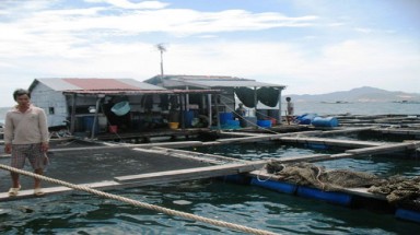  Cấp phép cho tàu Trung Quốc vào thu mua hải sản