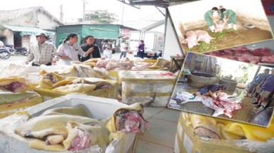 Thịt bẩn tuồn vào thành phố : Điểm mặt những “ông trùm”