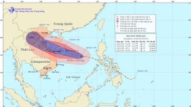 Tin bão gần bờ (Cơn bão số 8)