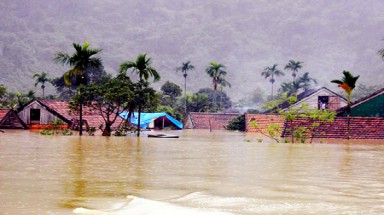 Đồng Tháp: Vỡ đê bao, hơn 360 ha lúa mất trắng