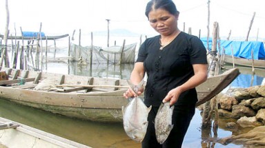  Thừa Thiên-Huế: Ngọt hóa làm cá đột tử hàng loạt
