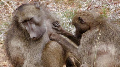  Làm thủ lĩnh vẫn cần cư xử thân thiện