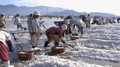 Kiểu gian lận giết chết nghề muối