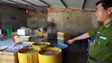 Phát hiện 2 tấn nội tạng heo hôi thối chuẩn bị đưa đi tiêu thụ