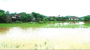 Đồng Tháp thiệt hại hơn 760 tỷ đồng do lũ