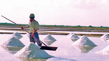  Xử lý nghiêm doanh nghiệp vi phạm bán muối trái phép