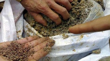  Công ty Phân bón Nông Thuận Phát bị đình chỉ hoạt động