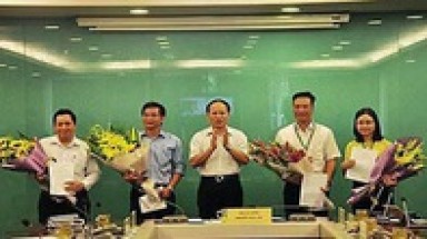Cả cục làm quan