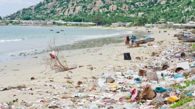 Rác vây bãi biển Cà Ná