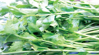Món ăn ưu tiên cho người sốt xuất huyết