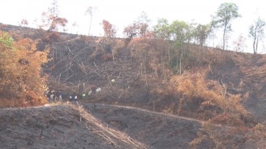 Đắk Nông: Giao rừng làm "địa bàn diễn tập phòng thủ", mất luôn... 175 ha