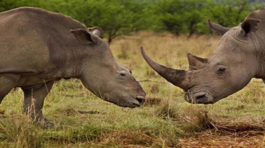  “Đại gia” Việt lại mất điểm