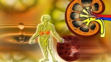 Món ăn trị thận hư