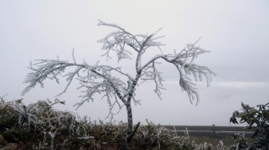 Thời tiết ngày càng diễn biến "dị thường" do biến đổi khí hậu