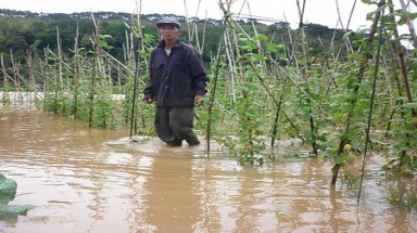 Lũ quét gây thiệt hại nặng ở Đà Lạt