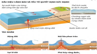 Đồ hoạ: Tìm hiểu về sóng thần
