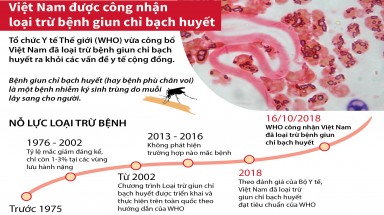Đồ hoạ:Việt Nam được công nhận loại trừ bệnh giun chỉ bạch huyết