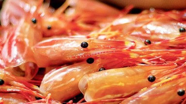 Ăn vỏ tôm lợi hay hại?