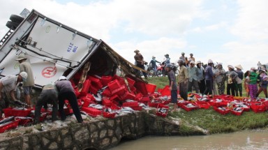  Xe tải lật, 8 tấn cá ngừ đổ tràn ra ruộng