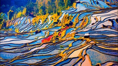 Những bức tranh "độc đáo" trên thửa ruộng bậc thang