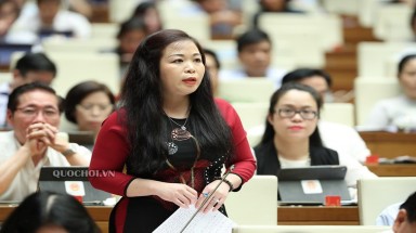 ‘Sẽ trung thực hơn nếu bộ trưởng nói mất rừng do quản lý bất cập’