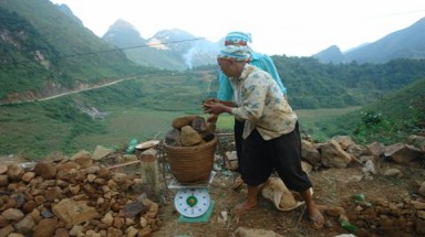 Tư thương bán quặng xuyên biên giới như… bán rau