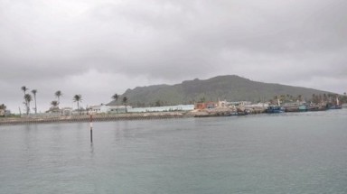  Đảo Lý Sơn: Nhiều loài quý hiếm sắp tận diệt