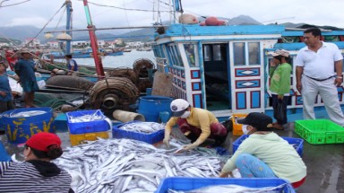 Bất lực trước thương lái Trung Quốc